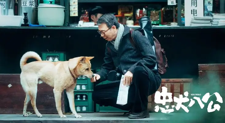 探花在老挝用不了怎么办评价